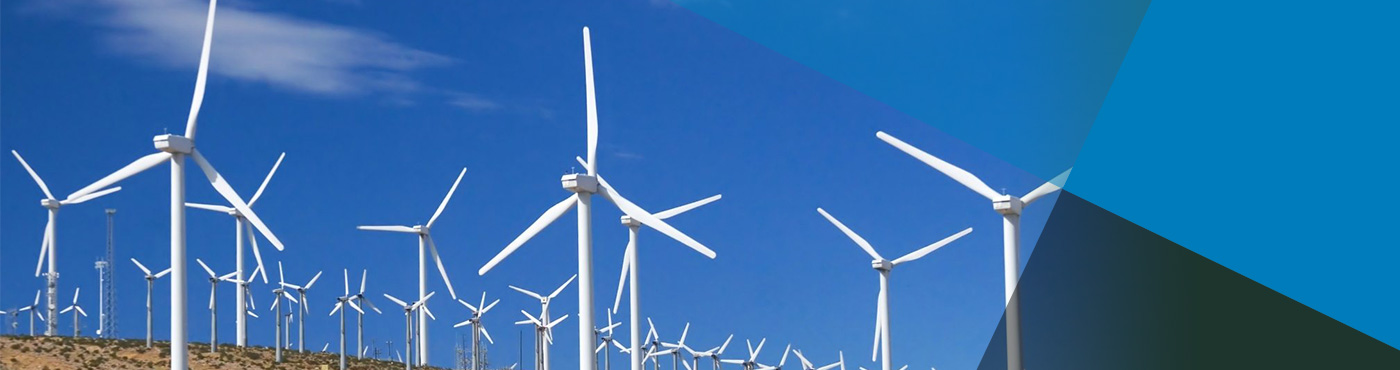 210322-CO2-compensation_header-image